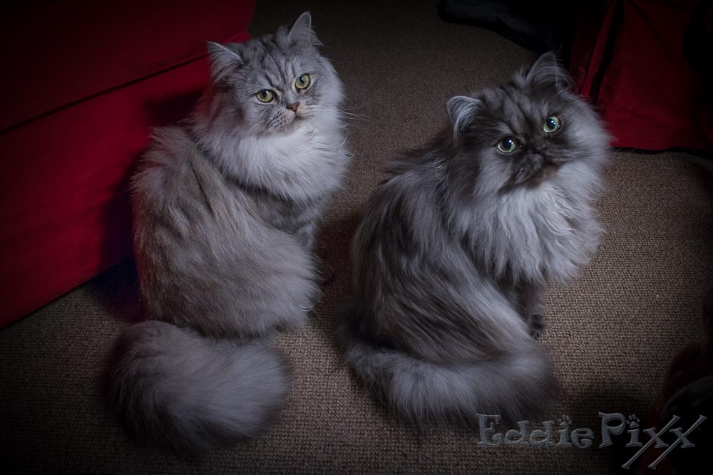 Duo Infernale? Nee, wir sind ja sooo lieb.