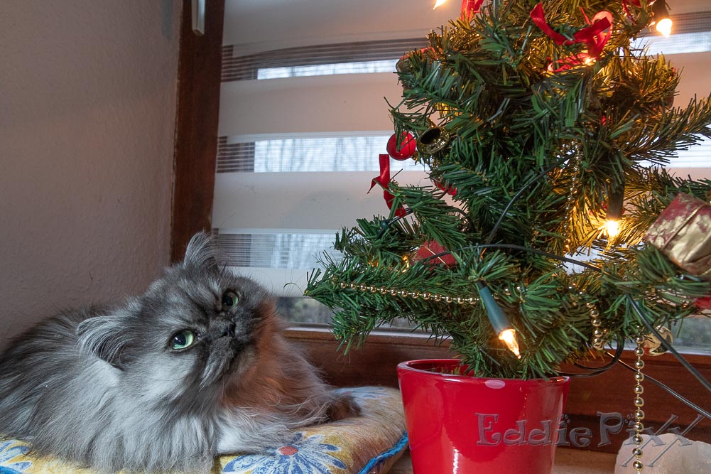 Hach, bald ist Weihnachten...