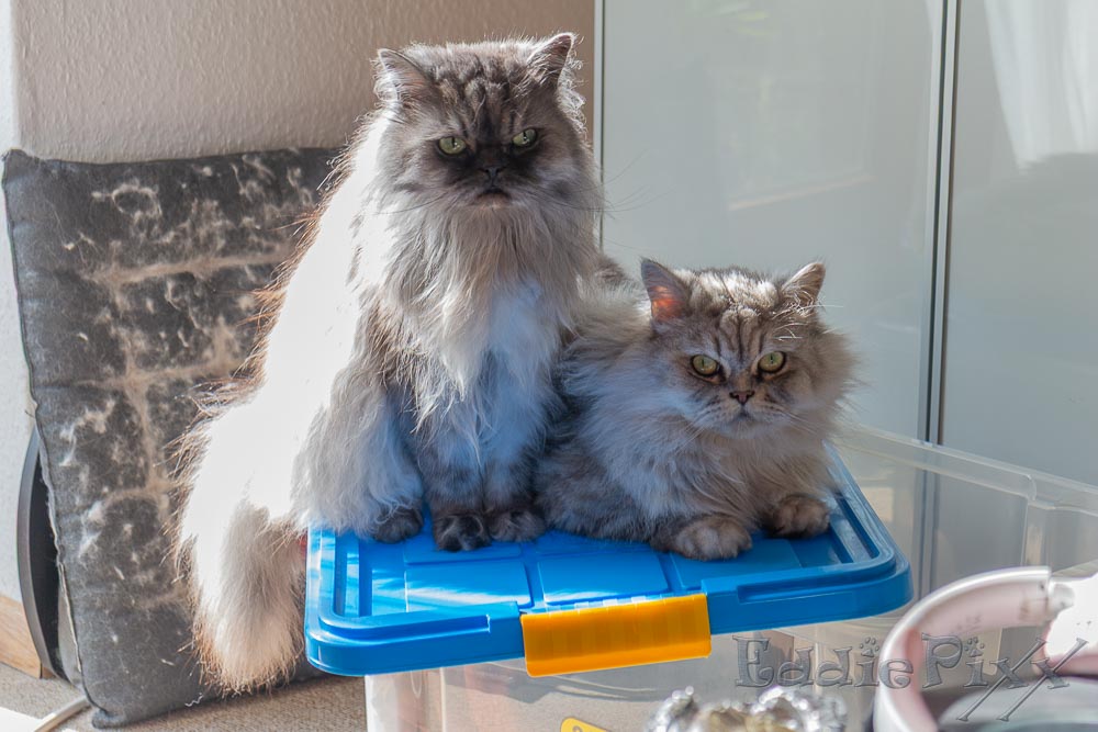 … und noch andere Boxen
