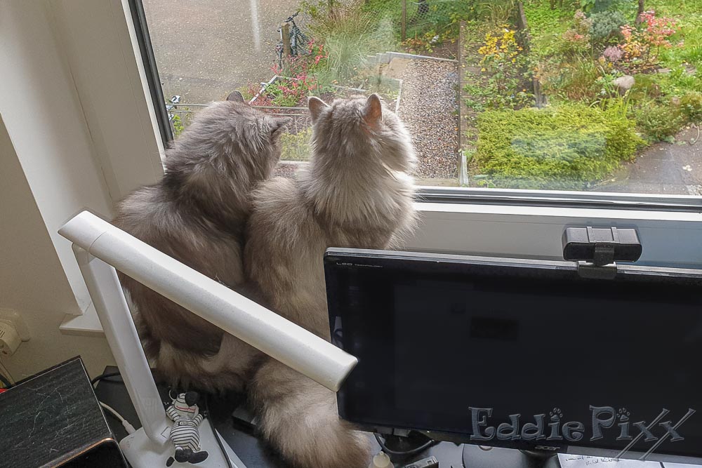 Hier gibt's zwar keinen Wintergarten mehr, aber aus dem einen Bürofenster im ersten Stock ist die Aussicht auch nicht schlecht.