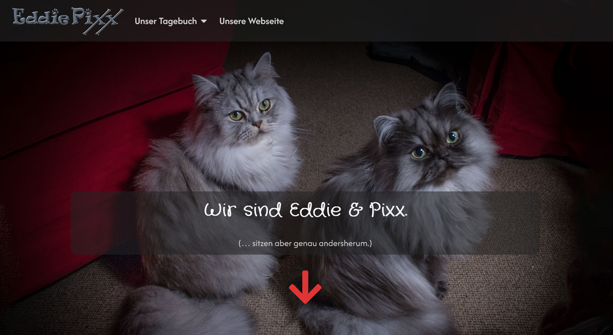 eddiepixx.com | Webseite seit 2025 eddiepixx.com | Webseite seit 2025