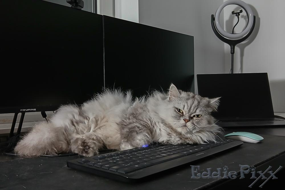 Die Bildschirme sind schon aus – also komm' mir jetzt nicht mit „Überstunden.“