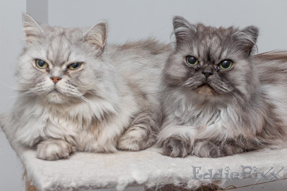 ok, wir werfen uns für ein Foto auch mal in Positur